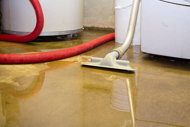 Best Residential Water Damage Restoration in Templeton, CA